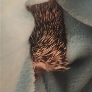 Meet your Posher, Breyanna